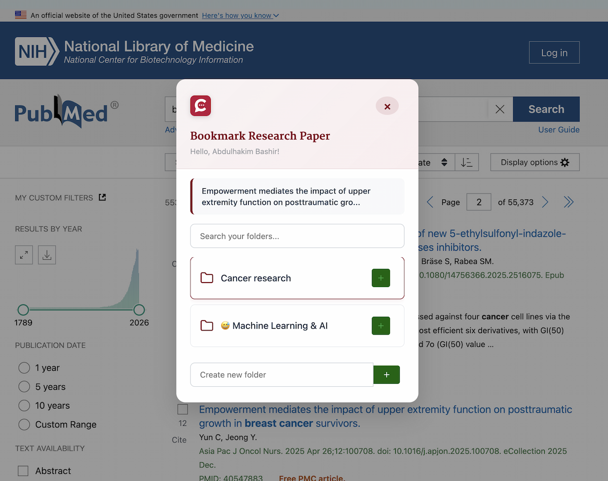 Chrome Extension Interface